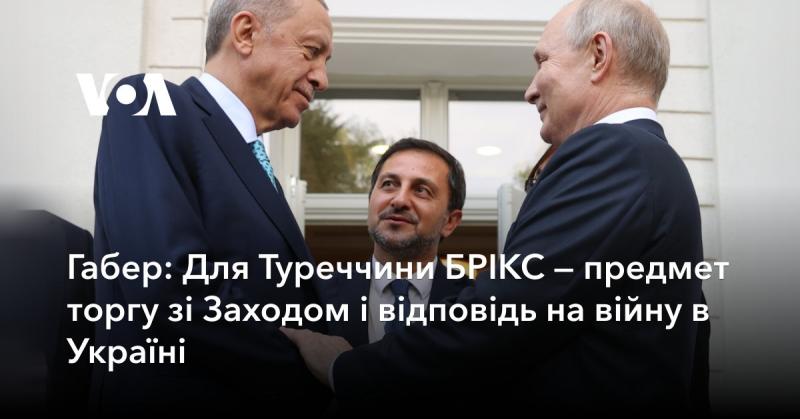 Габер: Для Туреччини БРІКС виступає як інструмент переговорів із Заходом та реакція на конфлікт в Україні.