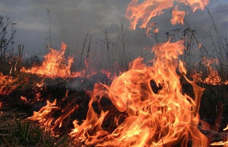 В обленерго повідомили про можливість накладення штрафів у розмірі кількох тисяч гривень - На пенсії.