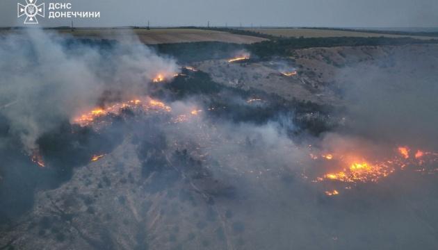 Рятувальні служби ліквідували вогонь, який палав протягом доби в ландшафтному парку на Донеччині.