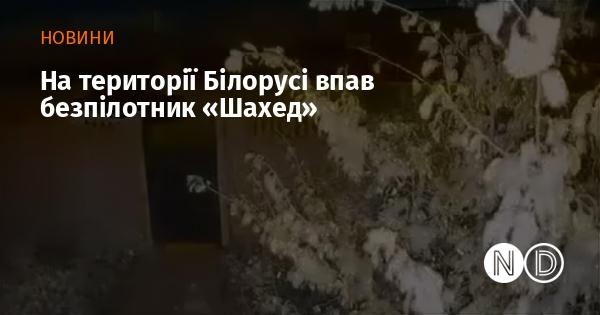 На білоруській території приземлився безпілотний апарат 