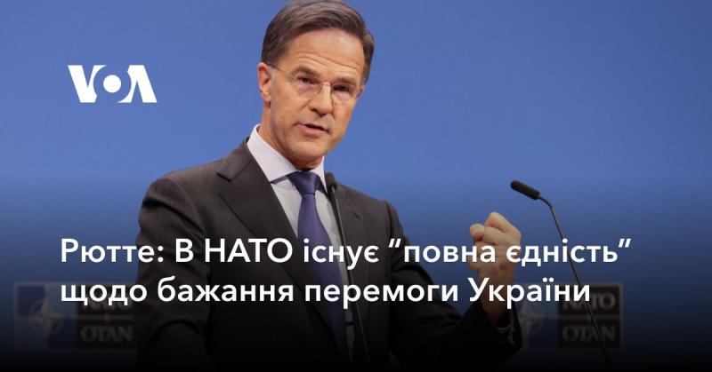 Рютте: В НАТО спостерігається 