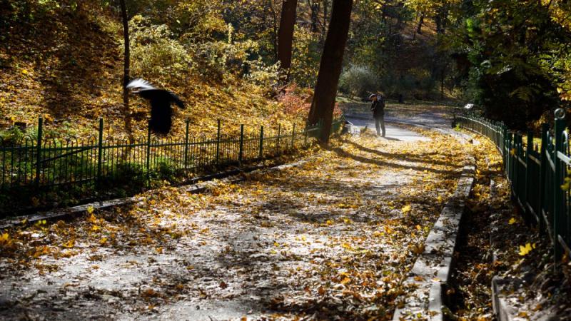 Деякі регіони України опиняться під покривом туману в умовах легкого морозу: прогноз погоди на 22 жовтня - Полеміка.