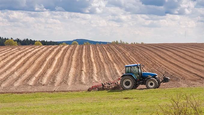 Після запуску ринку для підприємств ціни на земельні ділянки для фізичних осіб підвищилися на 9-10%.