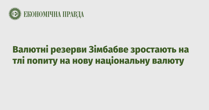 Валютні резерви Зімбабве збільшуються внаслідок зростаючого інтересу до нової національної валюти.