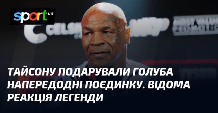 Напередодні бою Тайсону вручили голуба, і його реакція стала відомою.